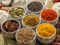 Samrat Food & Spices Pte Limited