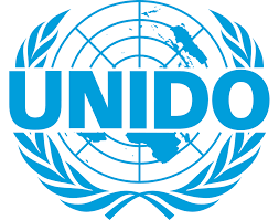 United Nations Industrial Development Organization (UNIDO)